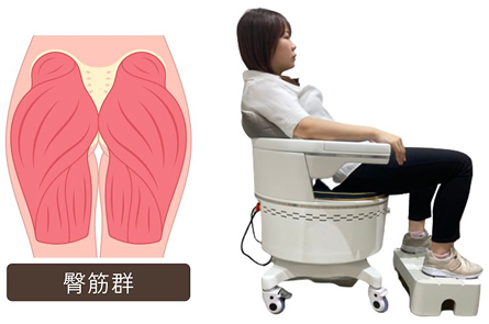 ヒップ（臀筋群の鍛え方