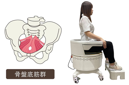骨盤底筋群の鍛え方